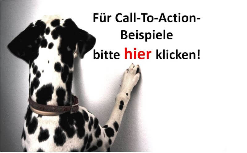 Bürohund Amira klickt den Call-To-Action