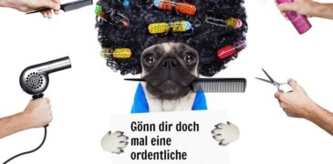 Content Refresh: Gönn Deinem Content regelmäßig Pflege!