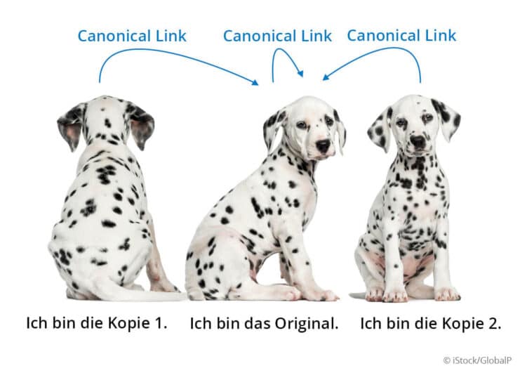 canonical link beispiel