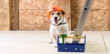 Die 93 besten Content Marketing-Tools
