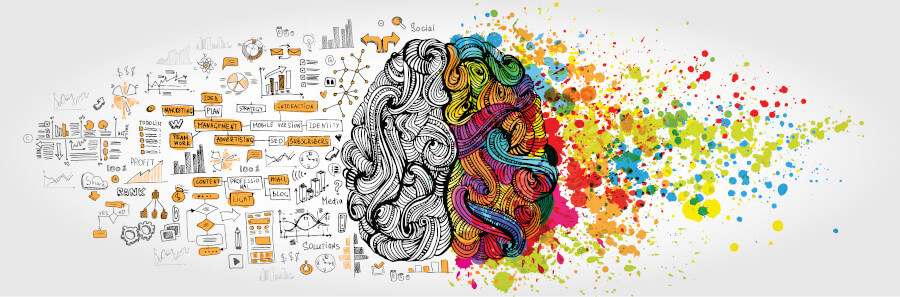 Zwei Gehirnhälften für Logik und Kreativität.