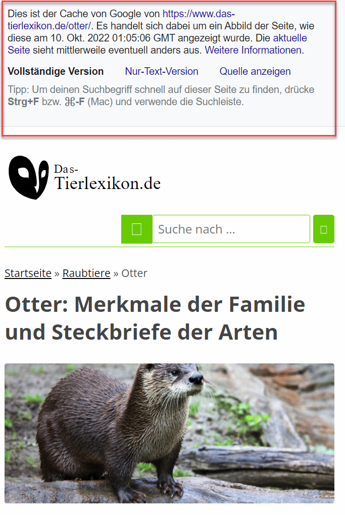 Noarchive Das SEO Tag Einfach Erkl rt Seokratie sterreich