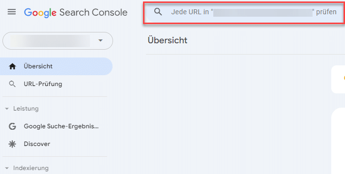Google Search Console URL prüfen