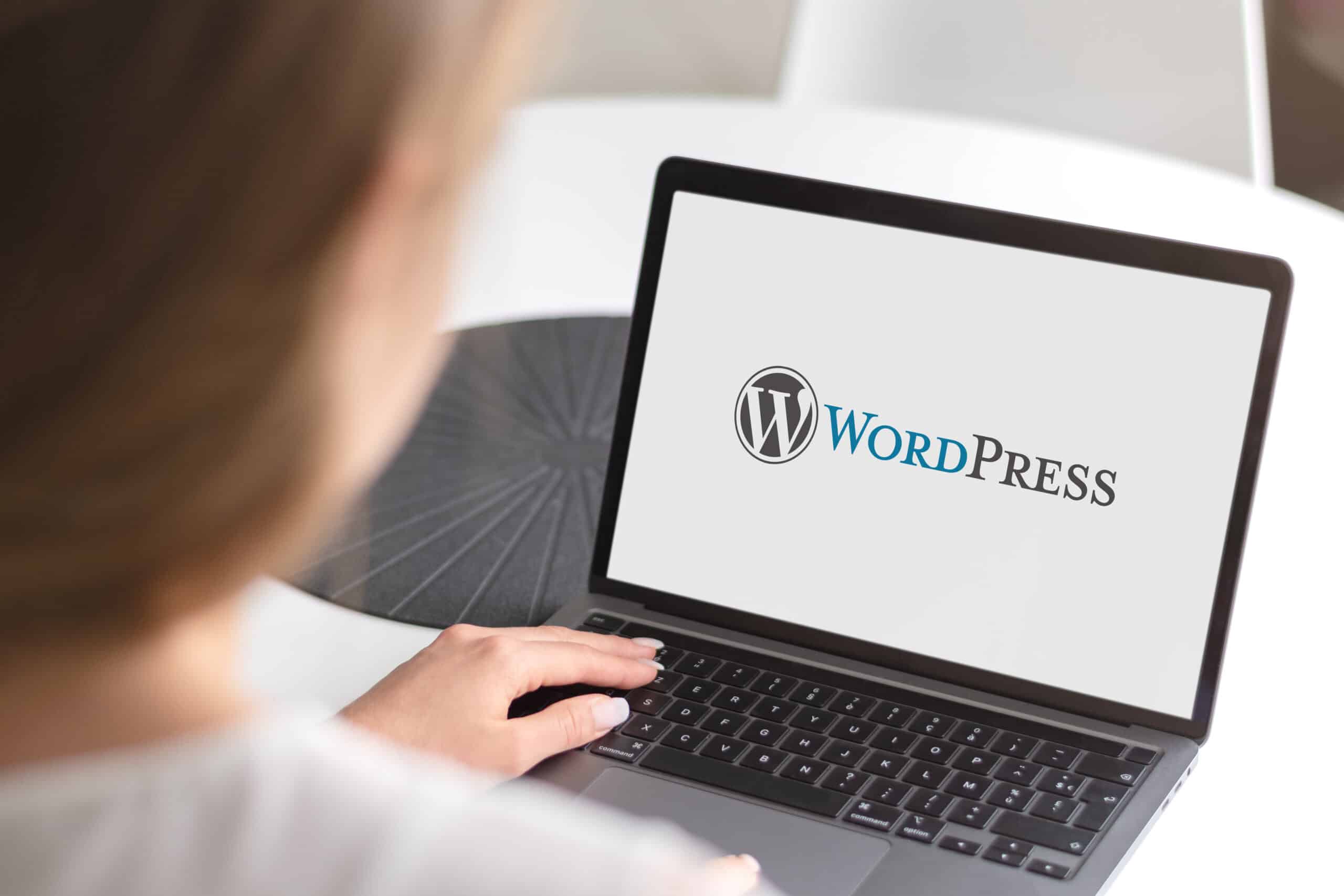 Eine Person betreibt WordPress SEO.