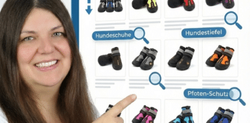 Product Grid SEO – Warum klassische Kategorie-SEO nicht mehr ausreicht