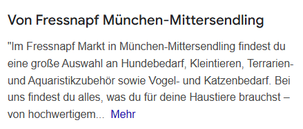 Google Unternehmensprofil-Beschreibung mit mehr als 250 Zeichen.