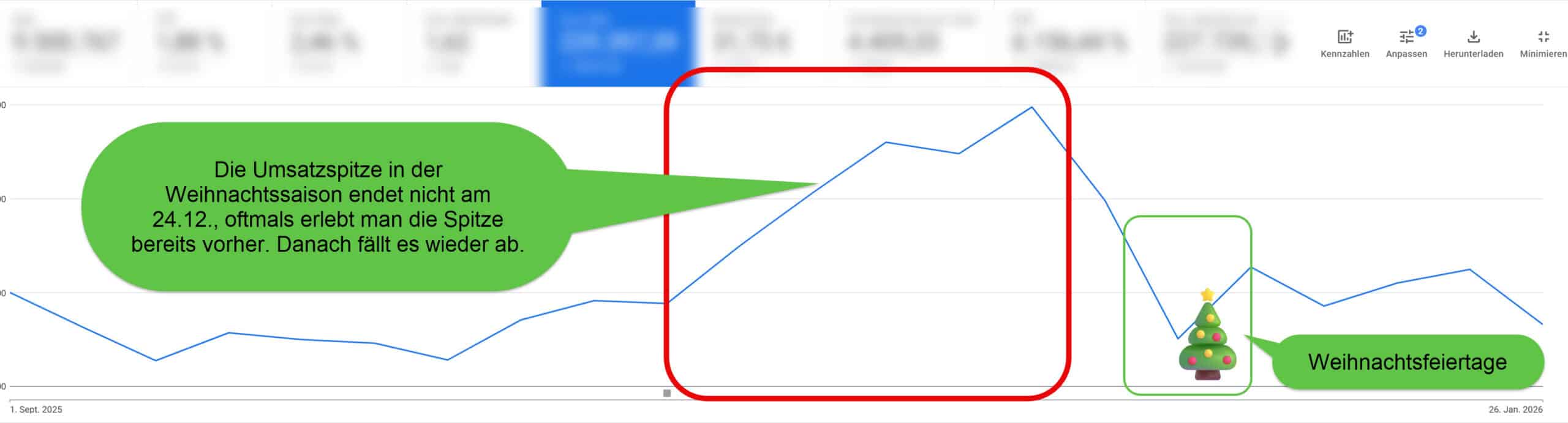 Screenshot aus der Google Ads Oberfläche mit einem Zeitverlauf von September bis Ende Januar und Umsatzspitze vor Weihnachten.